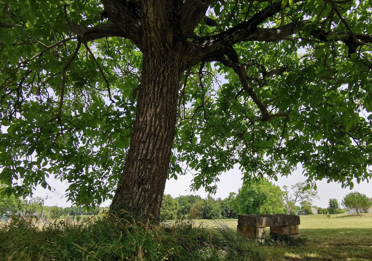 L'Ancienne Distillerie Segonzac  Zewnętrze zdjęcie